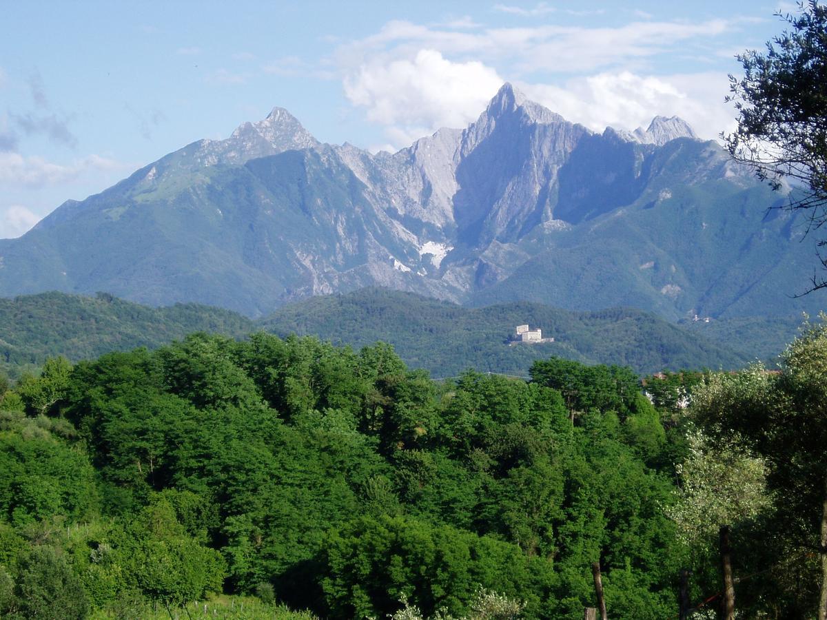 Podere La Piana 菲维扎诺 外观 照片