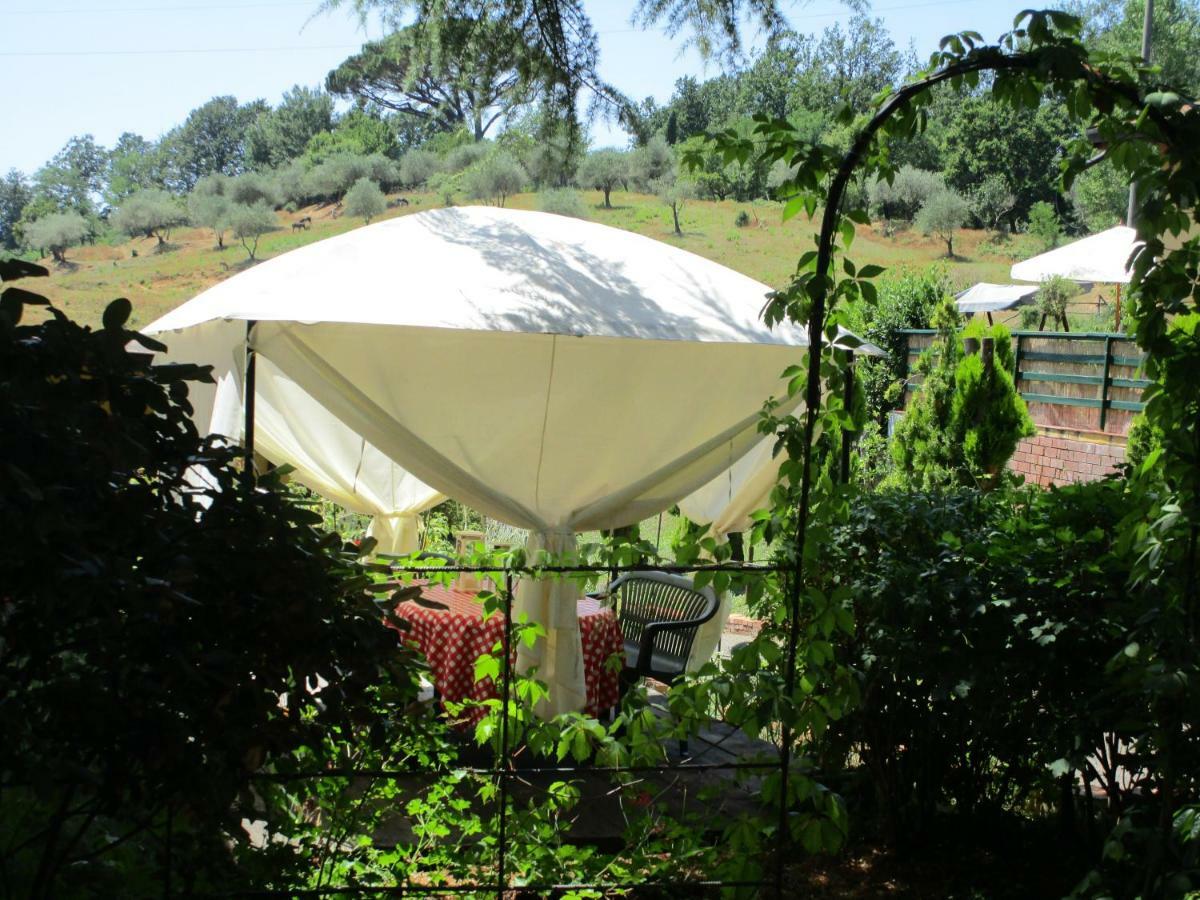 Podere La Piana 菲维扎诺 客房 照片